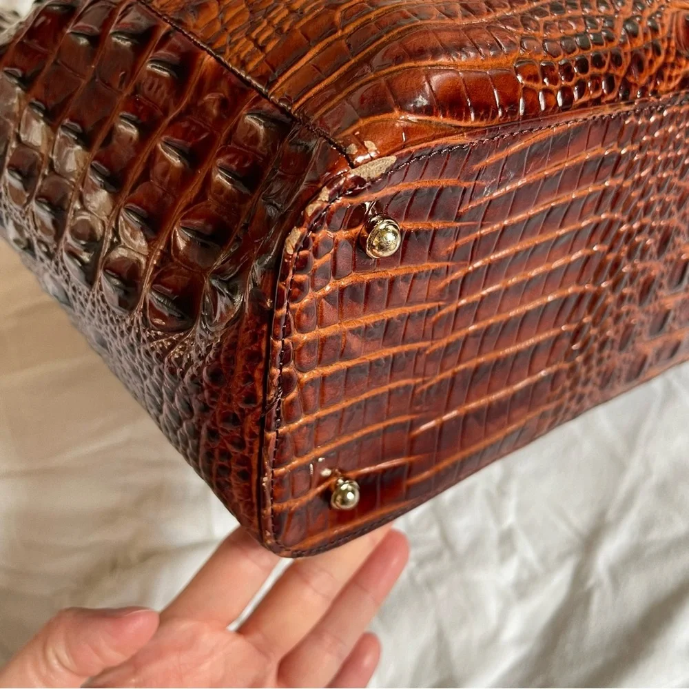 Brahmin beautiful large